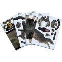 Puzzle 3d JURASSIC WORLD DOMINION - DINOSAUR 1 Puzzle 3d JURASSIC WORLD DOMINION - DINOSAUR 1