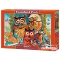 Puzzles oiseaux