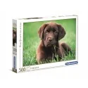 Puzzles chien